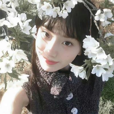 古宝2018